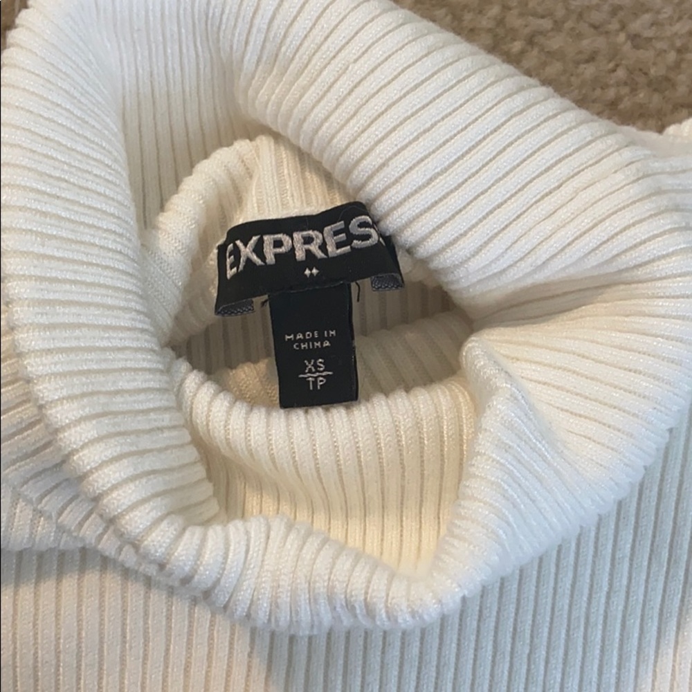 Express Ribbed Turtle Neck - image 3